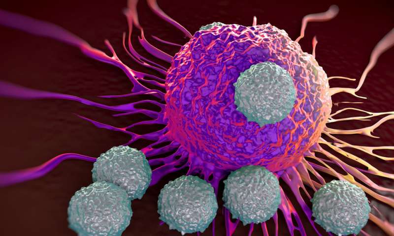 New tool identifies which cancer patients are most likely to benefit from immunotherapy