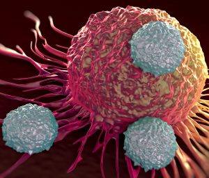 New Immunotherapy Checkpoint Targets Identified in Myeloid Cells – Clinical OMICs News
