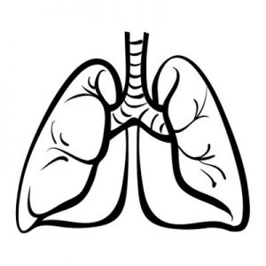 Immunotherapy Combinations Provide Long-Term Benefit in Stage IV NSCLC – Targeted Oncology
