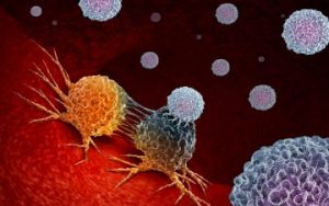 NCI Studying New Mesothelioma Immunotherapy Combination – Asbestos.com