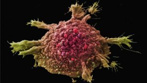 Keytruda rules the immunotherapy market, but challengers are lining up – STAT