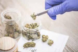 Cannabis Use May Decrease Efficacy of Immunotherapy – Cancer Therapy Advisor