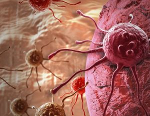 New approach can make immunotherapy effective against cancers – News-Medical.Net