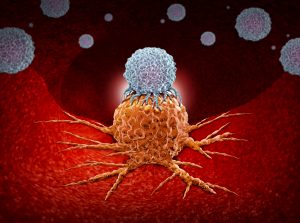 Checkpoint Molecule Could Be New Cancer Immunotherapy Target – Genetic Engineering & Biotechnology News