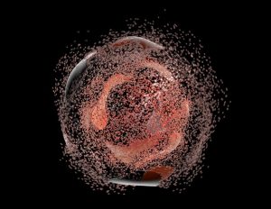 Study provides insight into lymphomagenesis and patterns of resistance to immunotherapy – News-Medical.Net