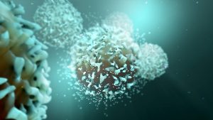 Cell “Suicide” Gene Further Linked to Immunotherapy Response – Technology Networks