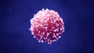 Younger Adults, Women with Cancer Respond Less Well to Immunotherapy with Checkpoint Inhibitors – Curetoday.com