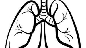 Kris Details Use of Immunotherapies After Lung Cancer Progression – Targeted Oncology