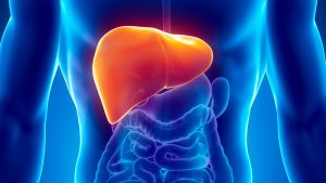 Cancer Immunotherapy ‘Uniquely Suppressed’ by Liver Tumors – UCSF News Services